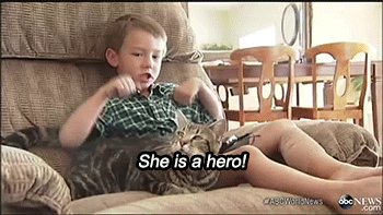 simplyshrinking:  lolsofunny:  8bitrevolver:  sizvideos:   This is my favorite thing. Badass hero cat.   The cat is like “just scratch me now please hooman”  Now that’s one brave and badass loyal cat.