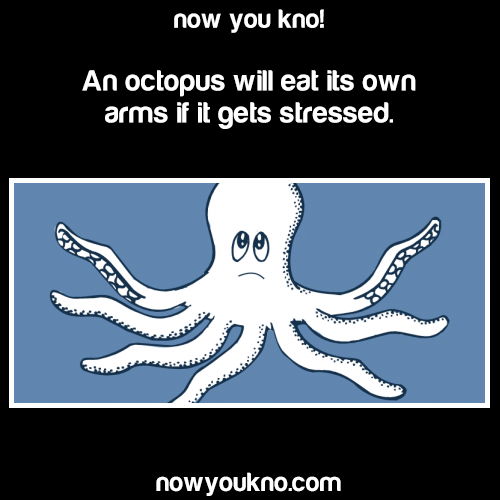 nowyoukno:  Source for more like this follow NowYouKno