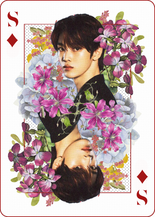 uayv:Wild Card (floral ver.)_SUNGCHAN (23/??)