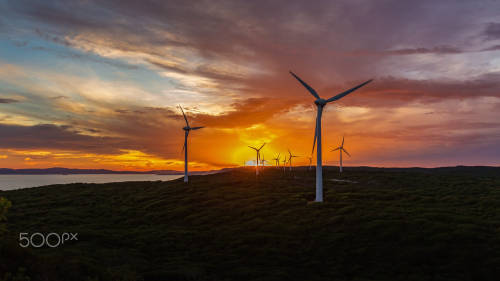 Albany Wind Farm by Camil Bicic Camera: Canon EOS 5D Mark III Lens: Canon EF 24-70mm f/2.8L II USM
