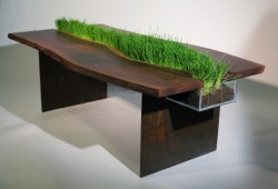c00tiebreath:  mymodernmet:  Architect student Emily Wettstein designed the Planter Table, a modern piece of furniture constructed using reclaimed walnut wood that features a removable planter in the middle of the table.  I’d just sit there and run