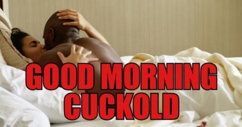 #GoodMorning #GoodMorningCuckold #Cuckold #HotWife #CuckLife