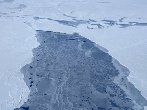 Sea ice in the Arctic.Sea ice is frozen seawater floating on the surface of the ocean.  Itrestr