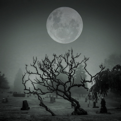 slobbering:  Moon by Lockstockphoto