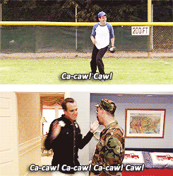 mccartneyandcompany:  its-arrested-development: Has anyone in this family ever even