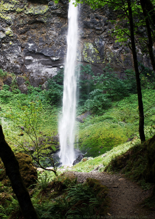 XXX bright-witch: Columbia River Gorge ♢ Print photo