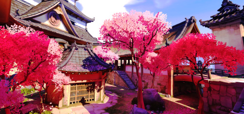 rafeadllers:   Overwatch maps - Hanamura ↳ Hanamura is a well-preserved village of unassuming shops and quiet streets, known mostly for it idyllic cherry blossom festival every spring. But to those who know its history, Hanamura is the ancestral home