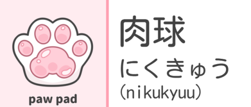 nikukyuu