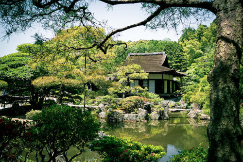 Ginkaku-ji Temple (銀閣寺) in Kyoto (京都) Japan by TOTORORO.RORO on Flickr.