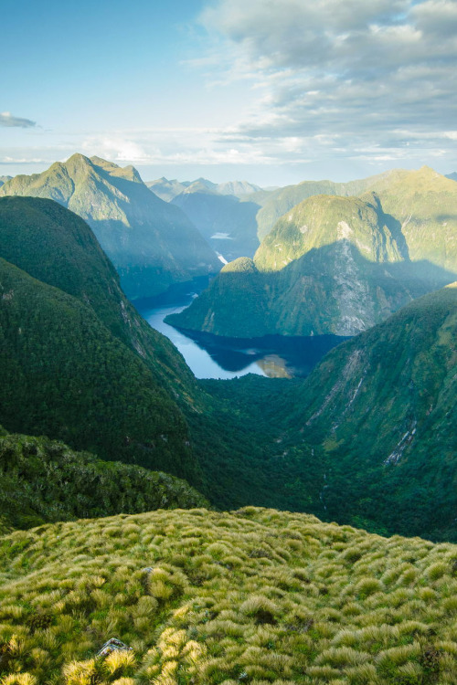 tryintoxpress:  Deep Fiordland - Crystal Brindle -  • ♤♡♢♧ •  