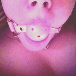 daddieslittlekittycat:Got my #ballgag ;)