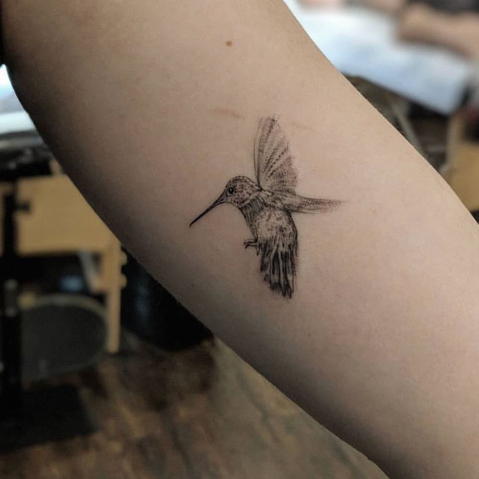 Small Fine Line Hummingbird Temporary Tattoo  Set of 3  Tatteco