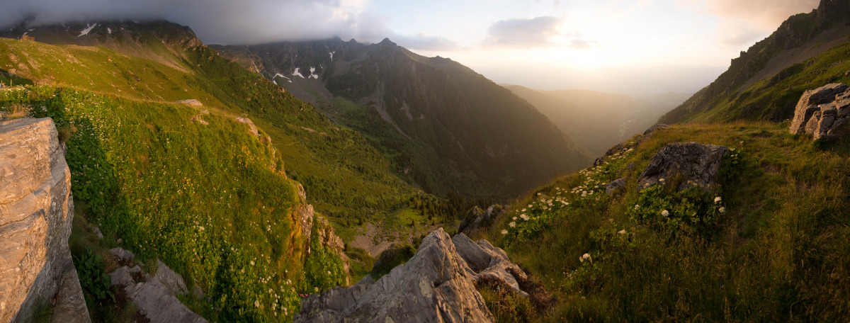 ysambre-fauntography:Waiting for the day’s end at some refuge during one of those