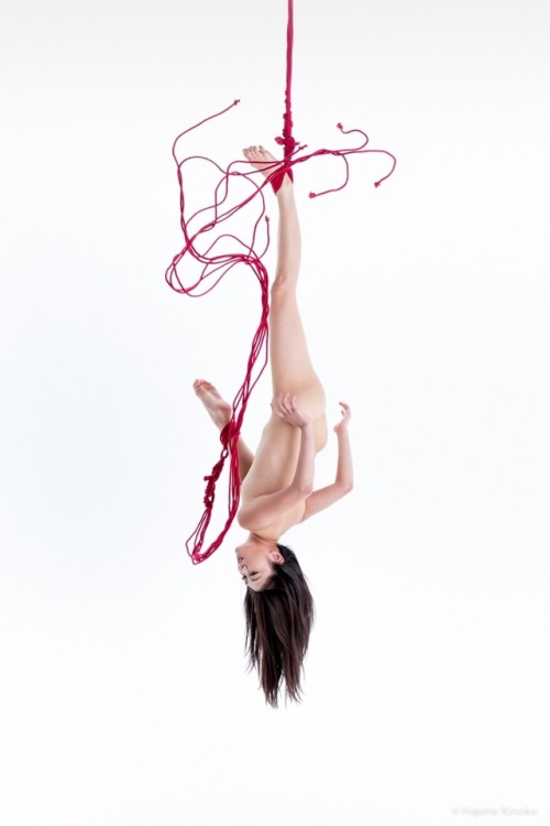 Porn Pics kinokohajime:  Zero gravity   It is my shibari