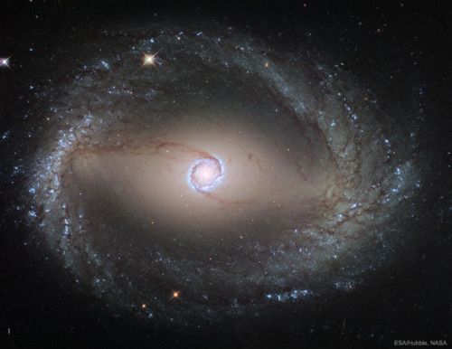 traverse-our-universe: “Most galaxies don’t have any rings – why does this galaxy 