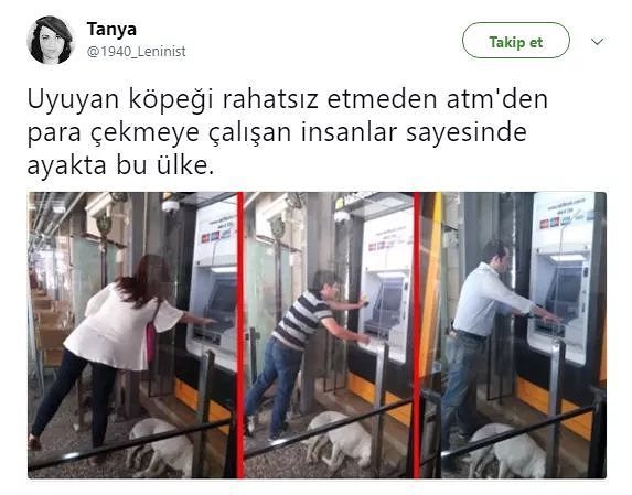 uyuyan köpeği rahatsız...