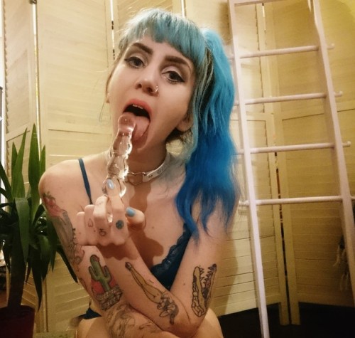 missmiabones:  Play with me.
