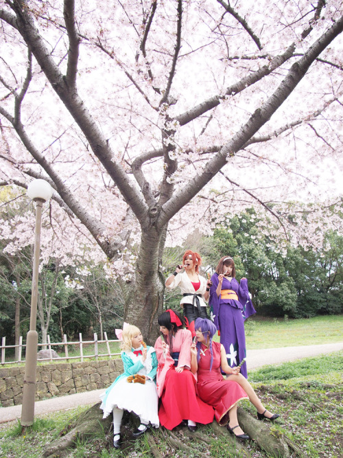 「サクラ大戦」Sakura Wars / お花見
Sumire = Yunaka, Sakura = Ryoko Yamada, Kanna = Uri-bo, Iris = Micronekomi, Kohran = mey, Photo = Higuchi, Kobayan