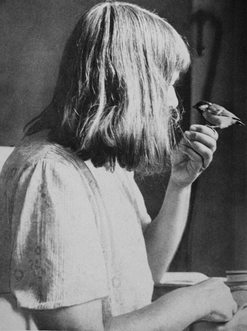 baddreamland: British naturalist Gwendolyn “Len” Howard (1894—1973) who let birds fly and roost in h