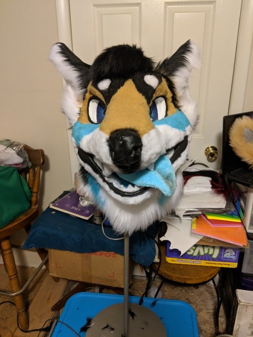 New Bab up for auction!https://www.furbuy.com/auctions/1103430.htmlAuction ends may 21st ;3