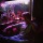 dadbully:  *lights American spirit cig*  Dude that vice article really got me thinking…