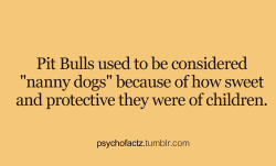 psychofactz:  More Facts on Psychofacts :) 