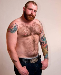 hairyblokes:  Lots of Hairy Blokes, Bears