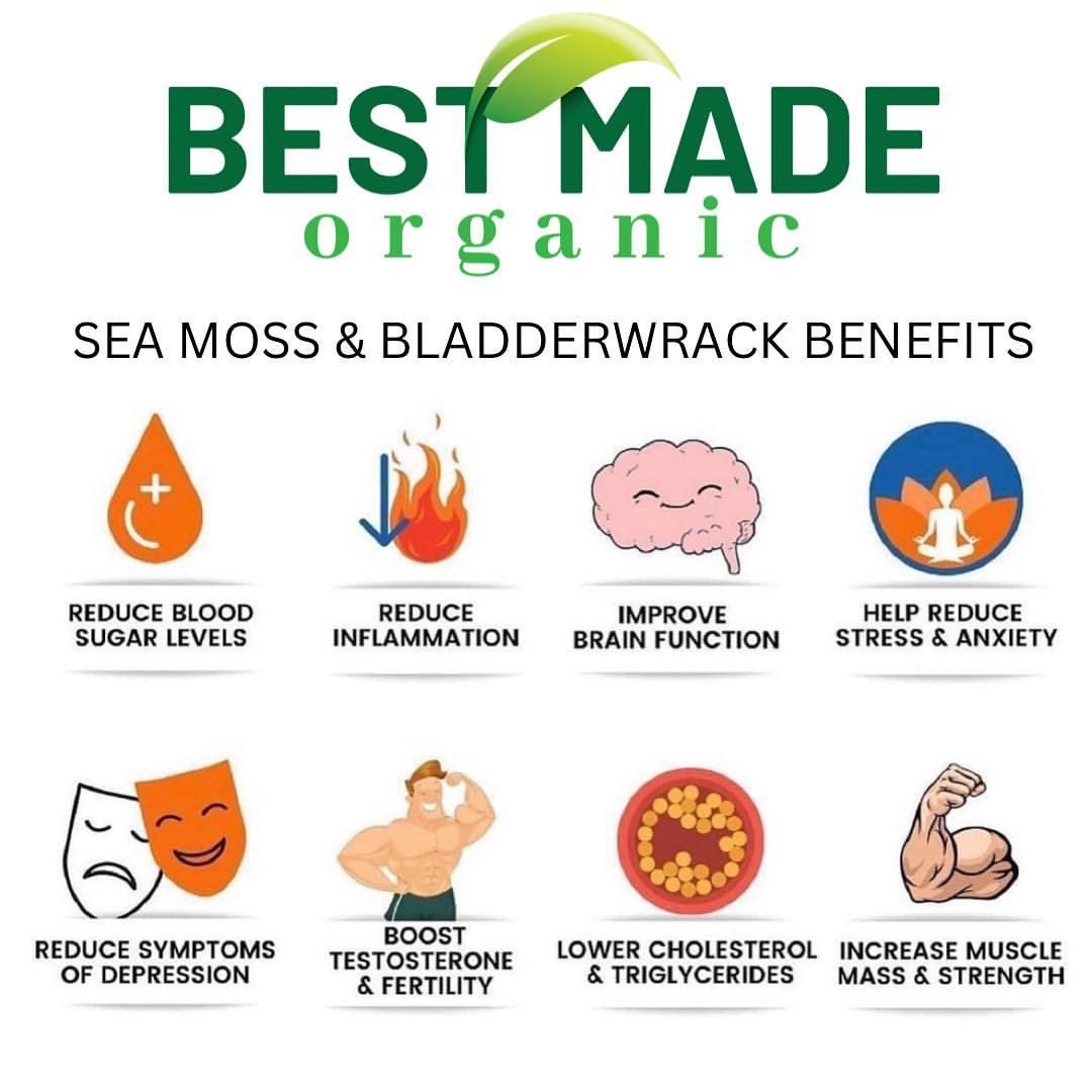 BestMadeOrganic On Tumblr bestmadeorganic-on-tumblr