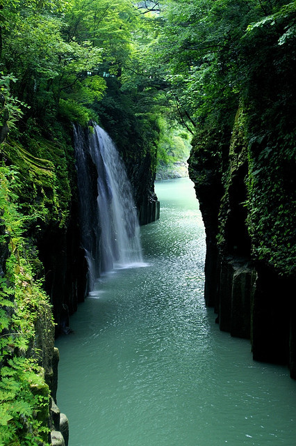 Sex travelthisworld:  Miyazaki, Japan | by nobuflickr pictures