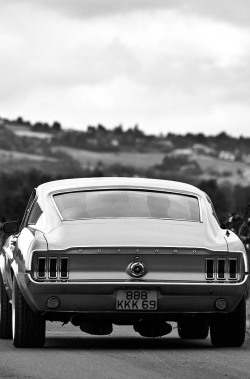 h-o-t-cars:  Ford Mustang by Gaetan D.