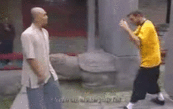 guts-and-uppercuts:  Some real-life applications of traditional Shaolin style kung fu. 