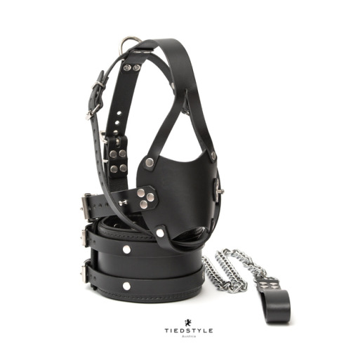 Matching muzzle gag, posture collar (8 cm height) and leash.