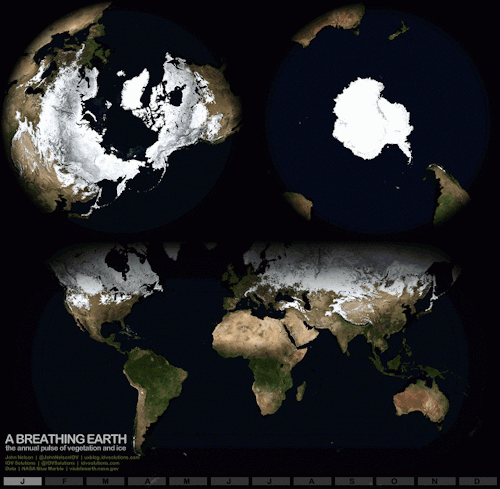 Porn mapsontheweb:  Earth’s ice and vegetation photos