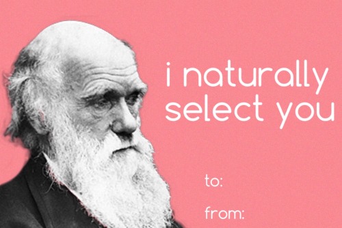 tobeagenius:valentines day for nerds 