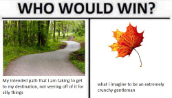 bizarrequazar: maidofsalt: its fall lads