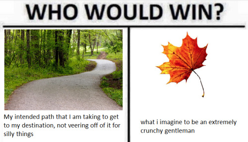 bizarrequazar: maidofsalt: its fall lads Two roads diverged in a yellow wood, And I, I took the one 