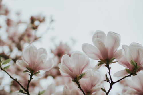andantegrazioso:I feel light | Linda Richtersz