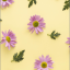 jolieicons