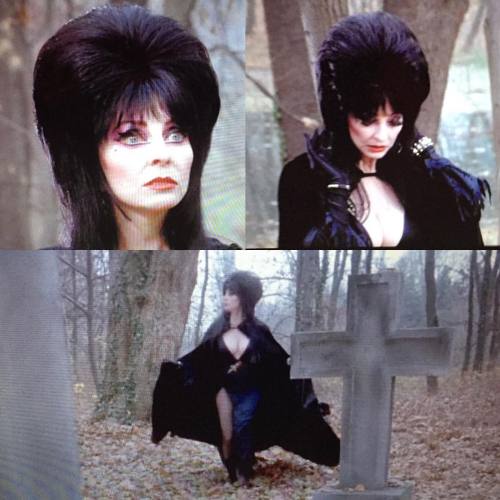 Elvira’s Haunted Hills is a Halloween MUST!! ❤️❤️ #queenofhalloween #elvira #elviramistressoft