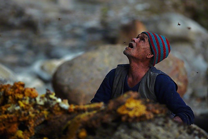 indiaincredible:   Ancient Tradition of Honey Hunting in Nepal 