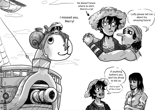 19 Year Old Luffy Meets His Crew Before The Time Skip