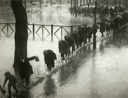 collectivehistory:  People walking on the chairs at the Maisons-Laffitte racecourse to escape the river Seine flood. Paris. 1924.  
