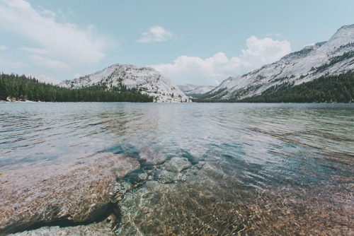 juliamstarr: Tioga Pass, CA 2013 Instagram