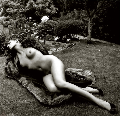 XXX beautiful woman in a garden, by Helmut Newton photo