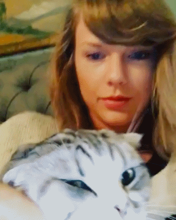 icamestraightfromrome:i think my favourite part of that video is that even while purring contentedly