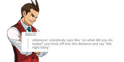 lavenderkooks-blog:  ace attorney + text posts 2/??? 