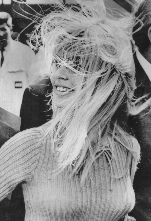 brigitte bardot