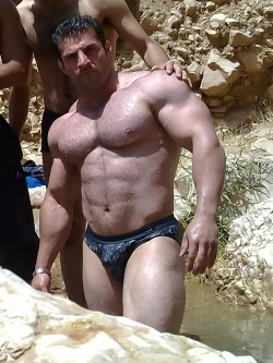 worldbodybuilders:  Meysam Keshvari.