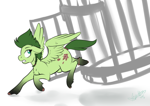 New OC pending name and cutie mark.Into the wild you go bitch~! :D *shakes ouf of cage*(Edit with some changes? Not sure which i like more.)