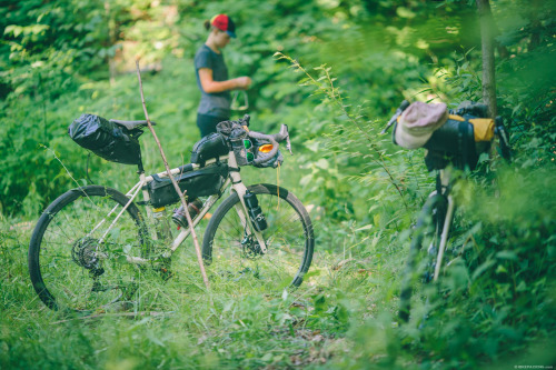 thecyclinglife:  Specialized sequoia